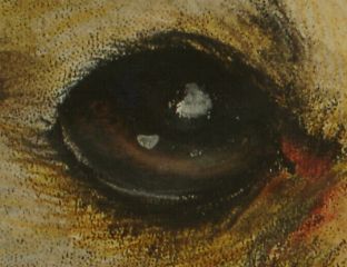 Click here to see more details. P.S. This eye is the painted one.