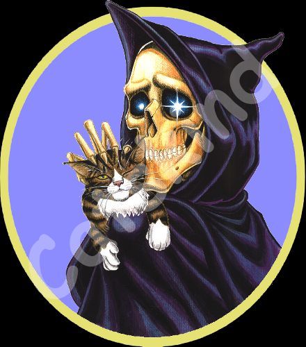 Death with a cat